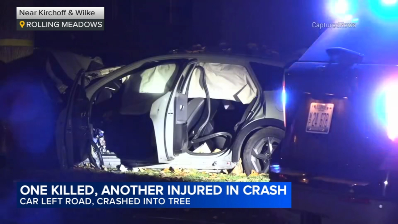 Driver killed, 1 other hurt after crashing into tree, Rolling Meadows police say
       — Frankfort Community news